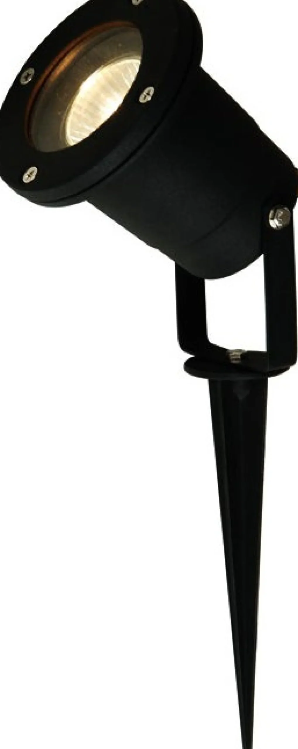 Intratuin grondspot Alpha D 10 H 32 cm