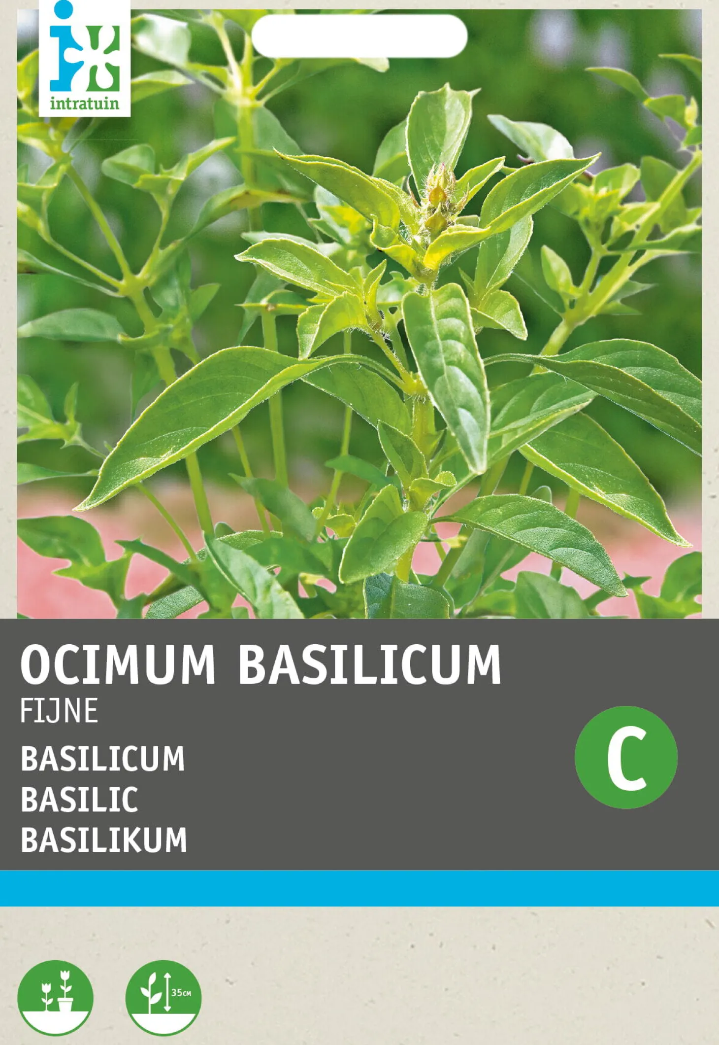 Intratuin kruidenzaad Basilicum fijne (Ocimum basilicum)