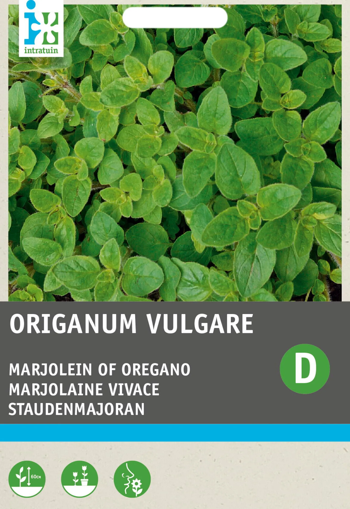 Intratuin kruidenzaad Marjolein (Origanum vulgare)