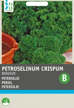 Intratuin kruidenzaad Peterselie (Petroselinum crispum 'Bravour')