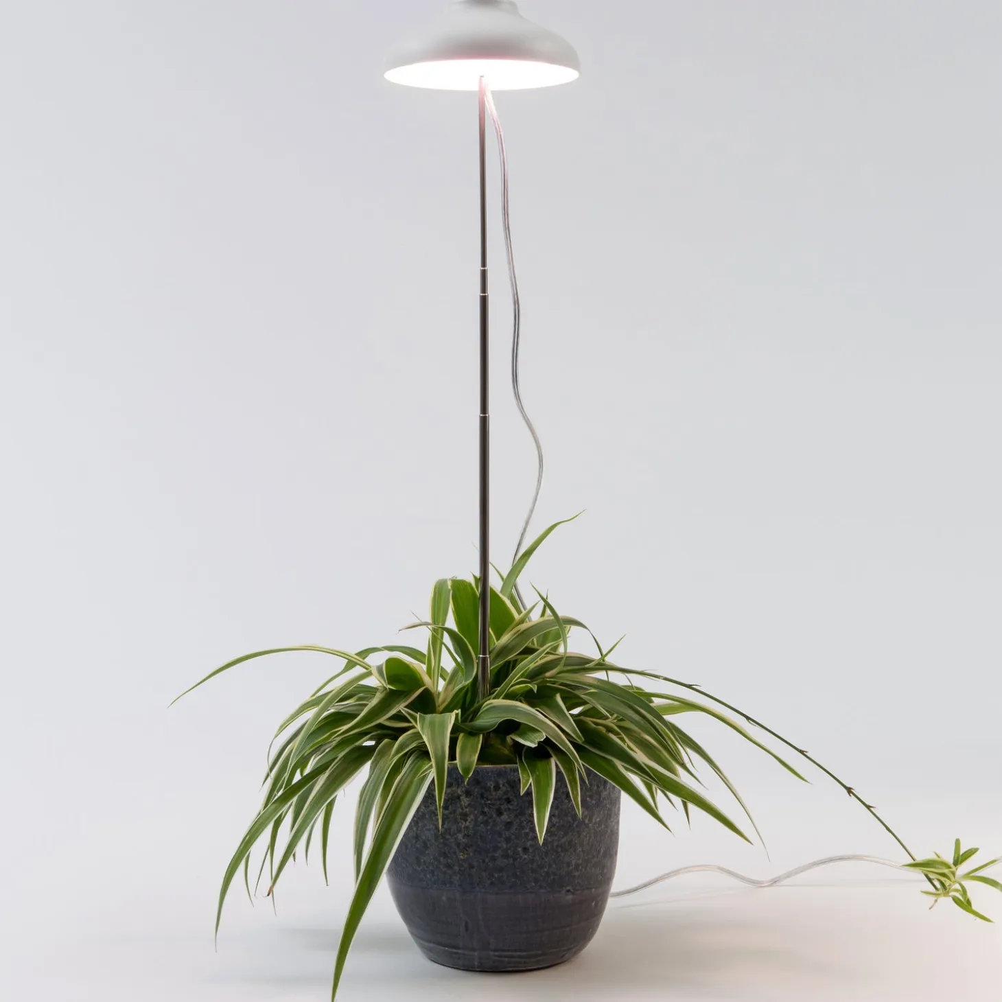 Intratuin kweeklamp wit met LED verlichting D 11 H 22 cm