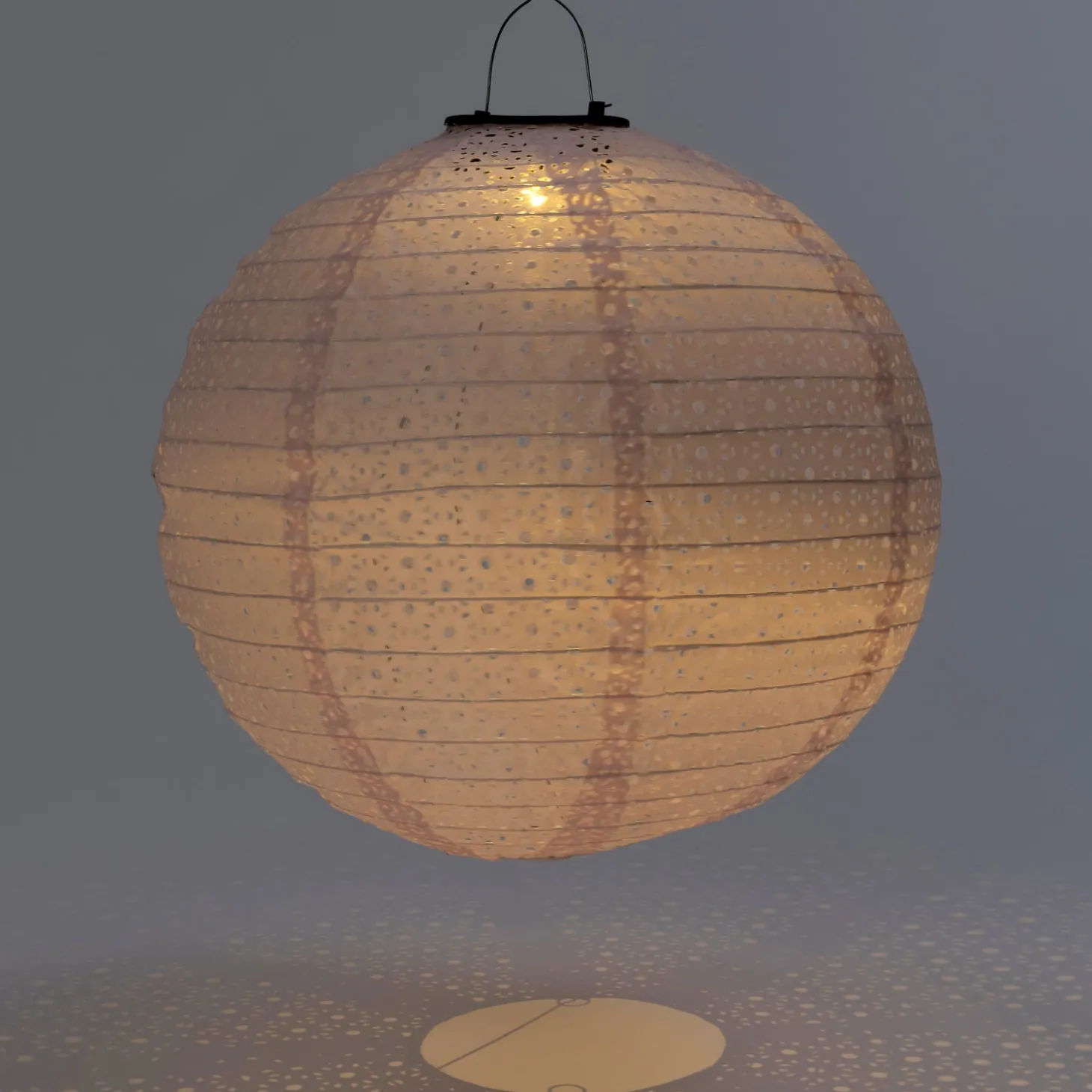 Intratuin lampion Bari roze D 25 H 23 cm
