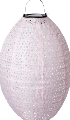 Intratuin lampion Bari roze D 25 H 35 cm