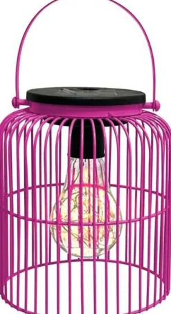 Intratuin lantaarn Madrid roze D 13 H 16 cm