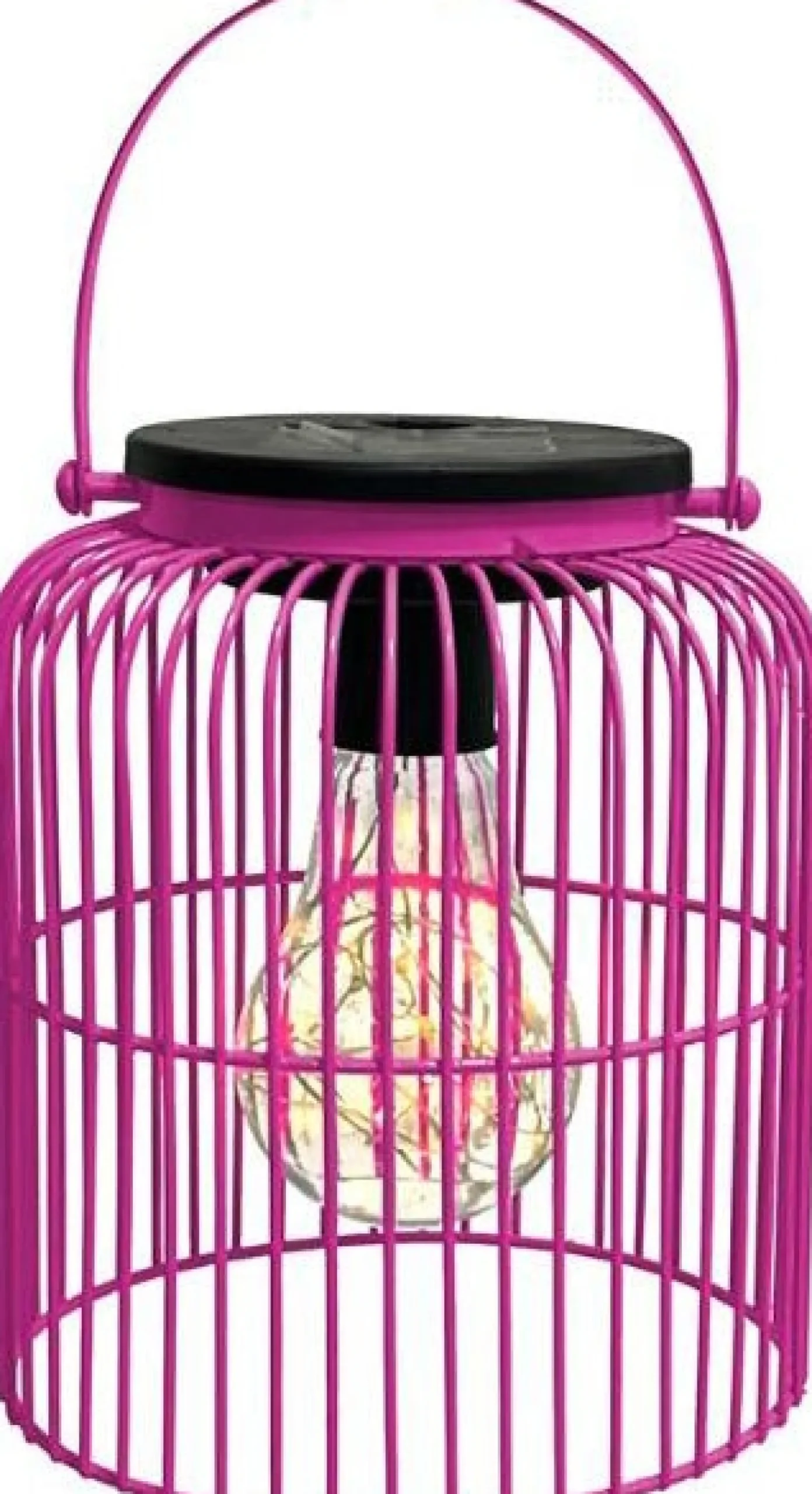 Intratuin lantaarn Madrid roze D 13 H 16 cm