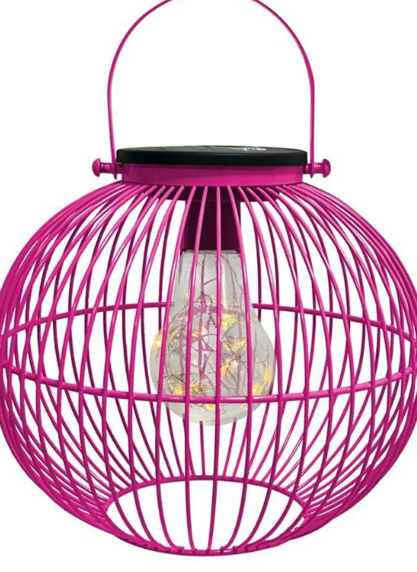Intratuin lantaarn Wenen roze D 20 H 18 cm