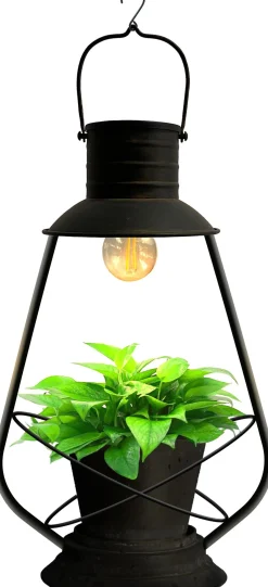 Intratuin LED solar hanglamp plant 22 x 16 x 37 cm