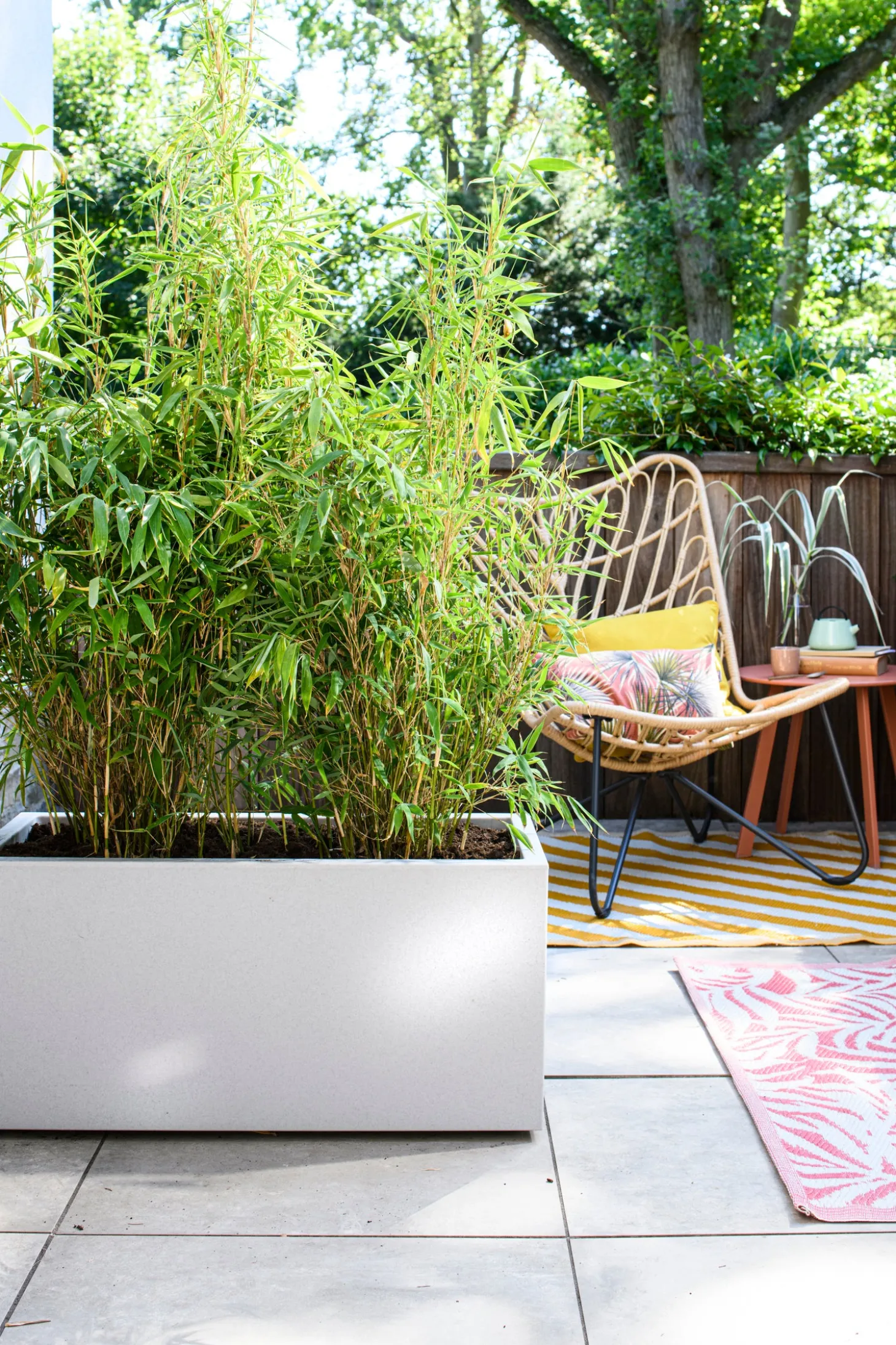 Intratuin loungestoel Vlinder naturel