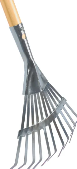 Intratuin mini bladhark