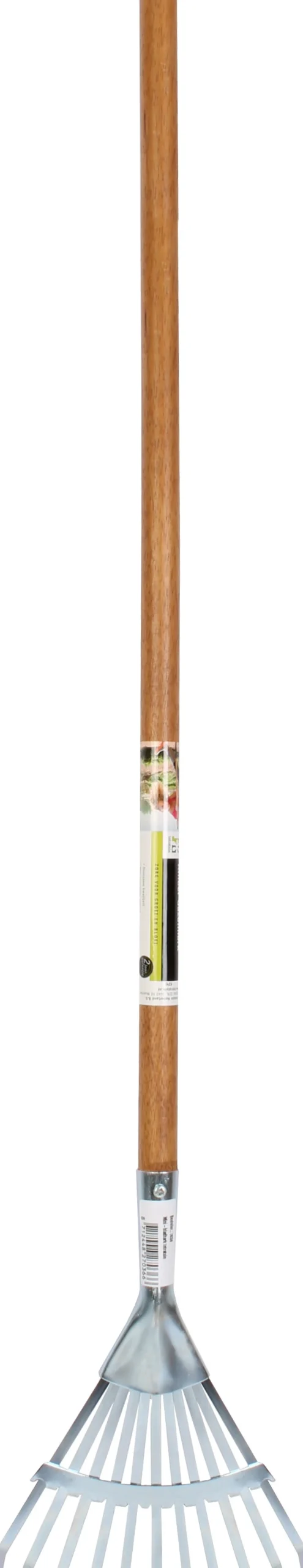 Intratuin mini bladhark