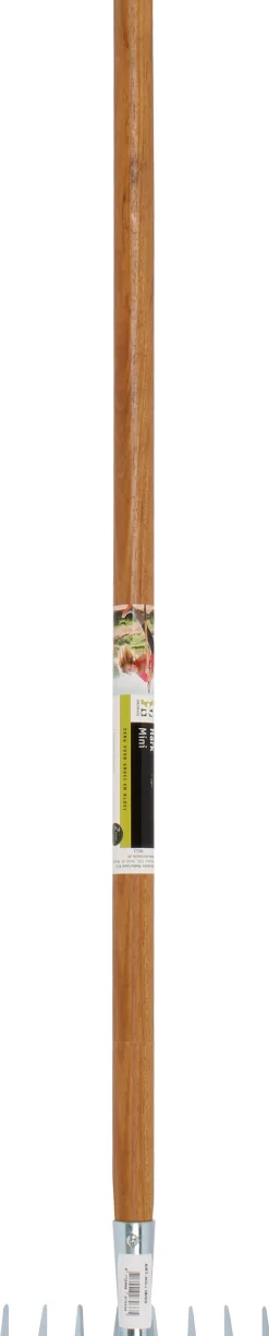 Intratuin mini hark 6-tand