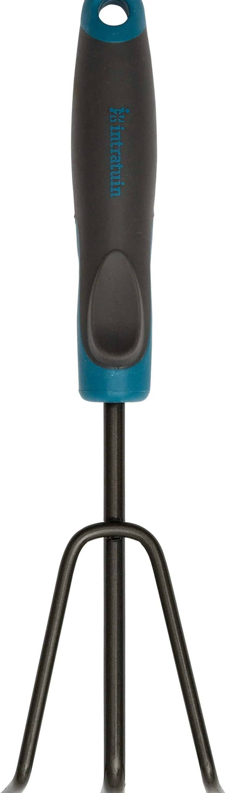 Intratuin onkruidwieder blauw/zwart