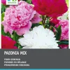 Intratuin Pioenroos knol (Paeonia) 3 stuks
