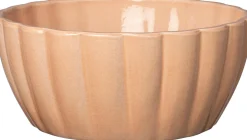 Intratuin plantenschaal Laredo oranje D 25 H 11 cm