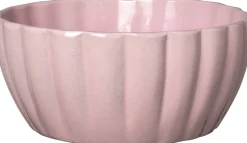 Intratuin plantenschaal Laredo roze D 25 H 11 cm