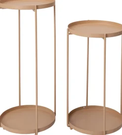 Intratuin plantentafel Salix roze D 27 H 57,5 cm