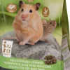 Intratuin Premium knaagdiervoer gemengd 1 kg