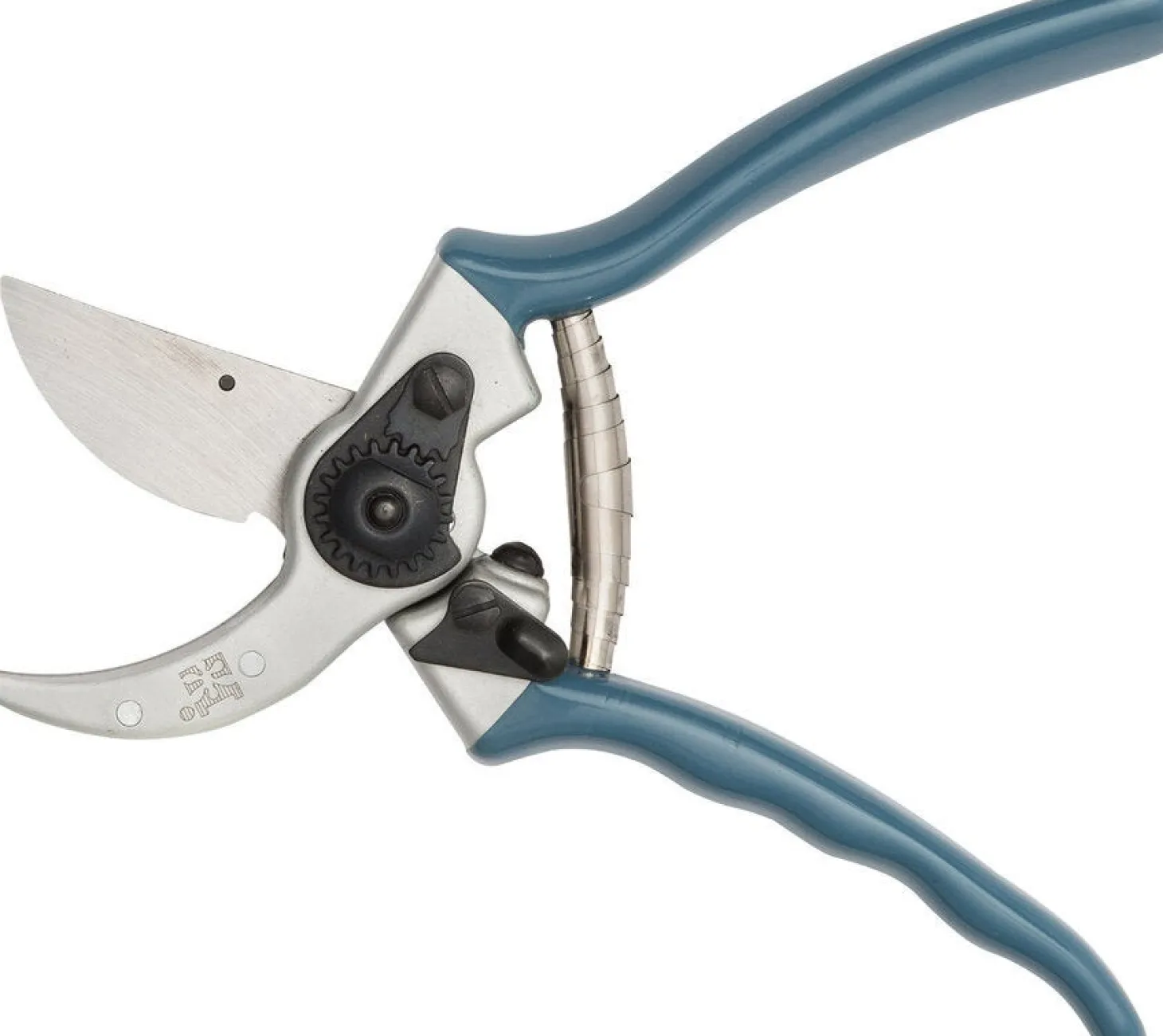 Intratuin premium snoeischaar zilver/blauw
