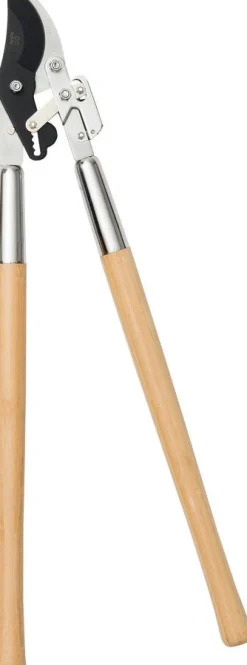 Intratuin premium takkenschaar bamboe