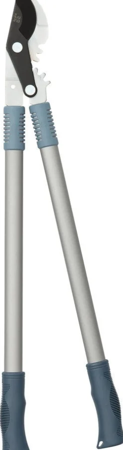 Intratuin premium takkenschaar aluminium blauw/zilver