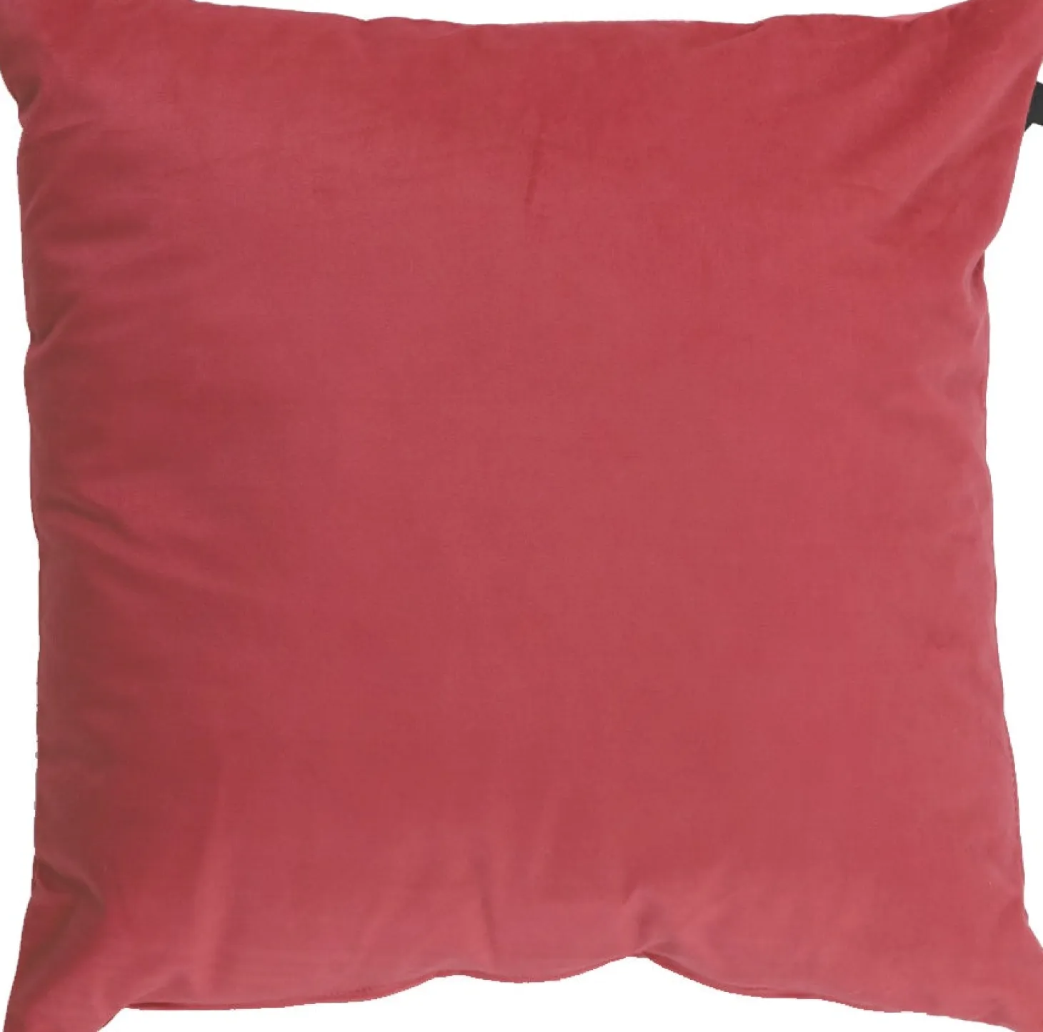 Intratuin sierkussen Pink roze 45 x 45 cm