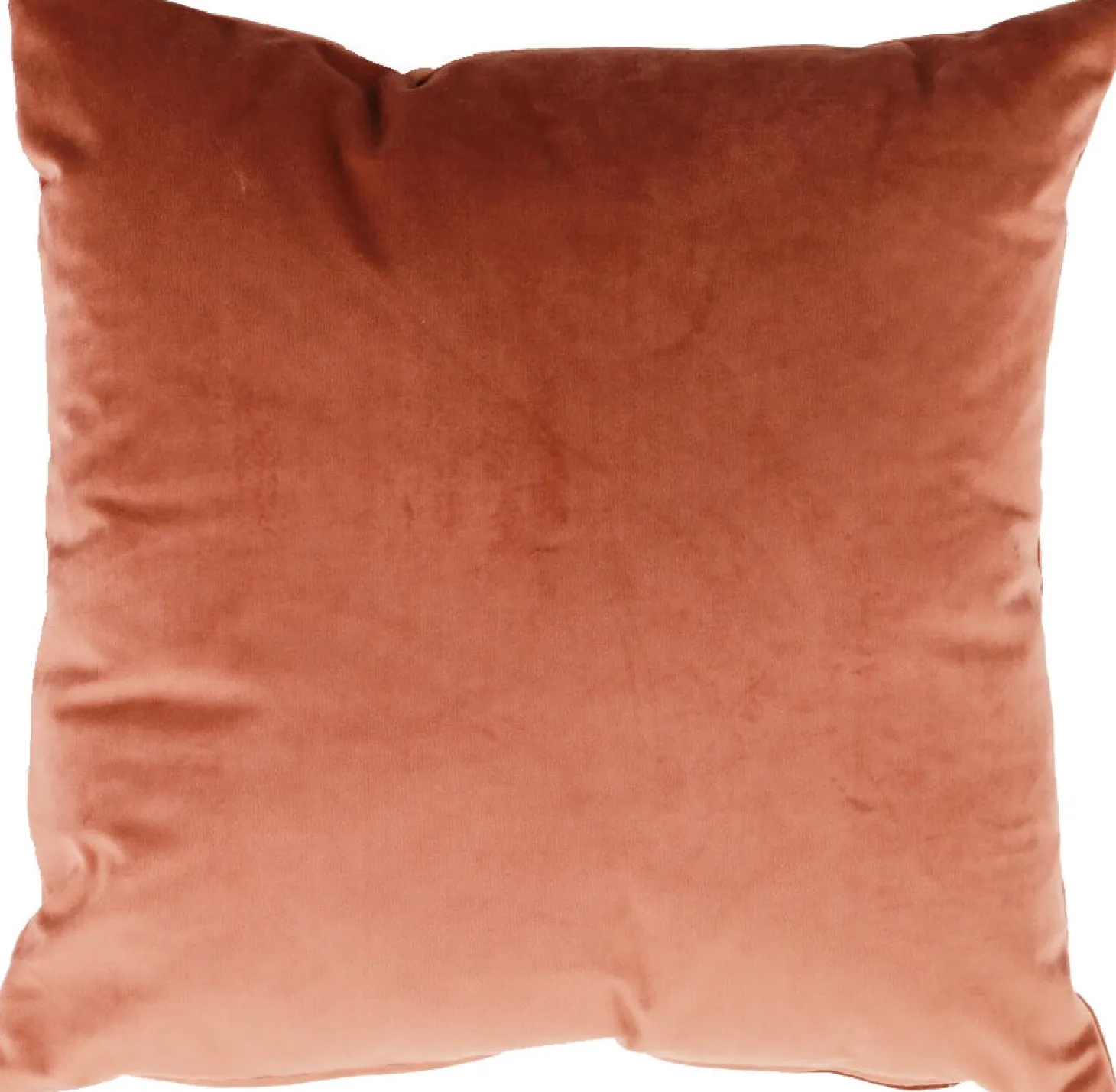 Intratuin sierkussen Velours roze 45 x 45 cm
