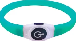 Intratuin verlichte hondenhalsband XL blauw 35 - 65 cm