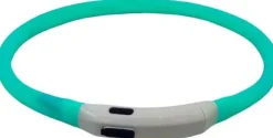 Intratuin verlichte hondenhalsband blauw 35 - 65 cm
