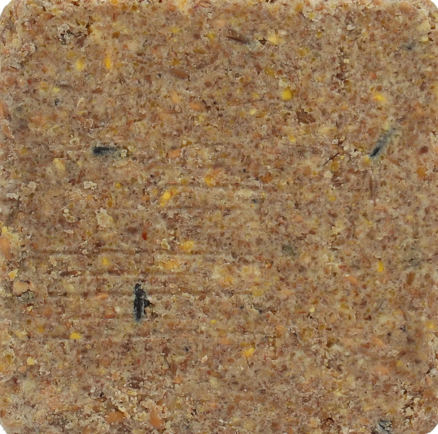 Intratuin vetblok 10 x 3,5 x 10 cm