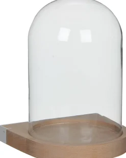 Intratuin wandstolp transparant D 21 H 29 cm