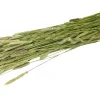 JR Farm Timothee-oogst 80 g