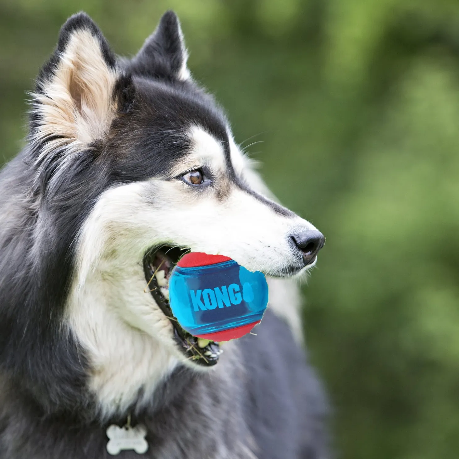Kong bal Squeezz Action small D 5 cm 3 stuks