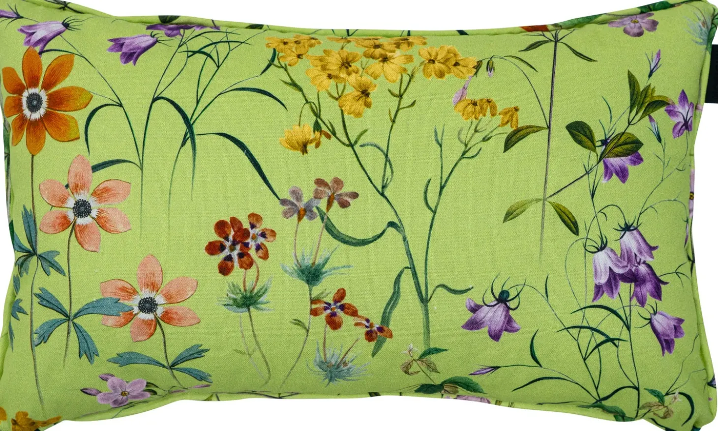 Madison sierkussen Milly groen 50 x 30 cm