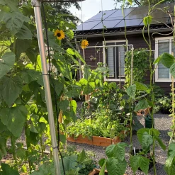 Makkelijke Moestuin voeding 1 kg