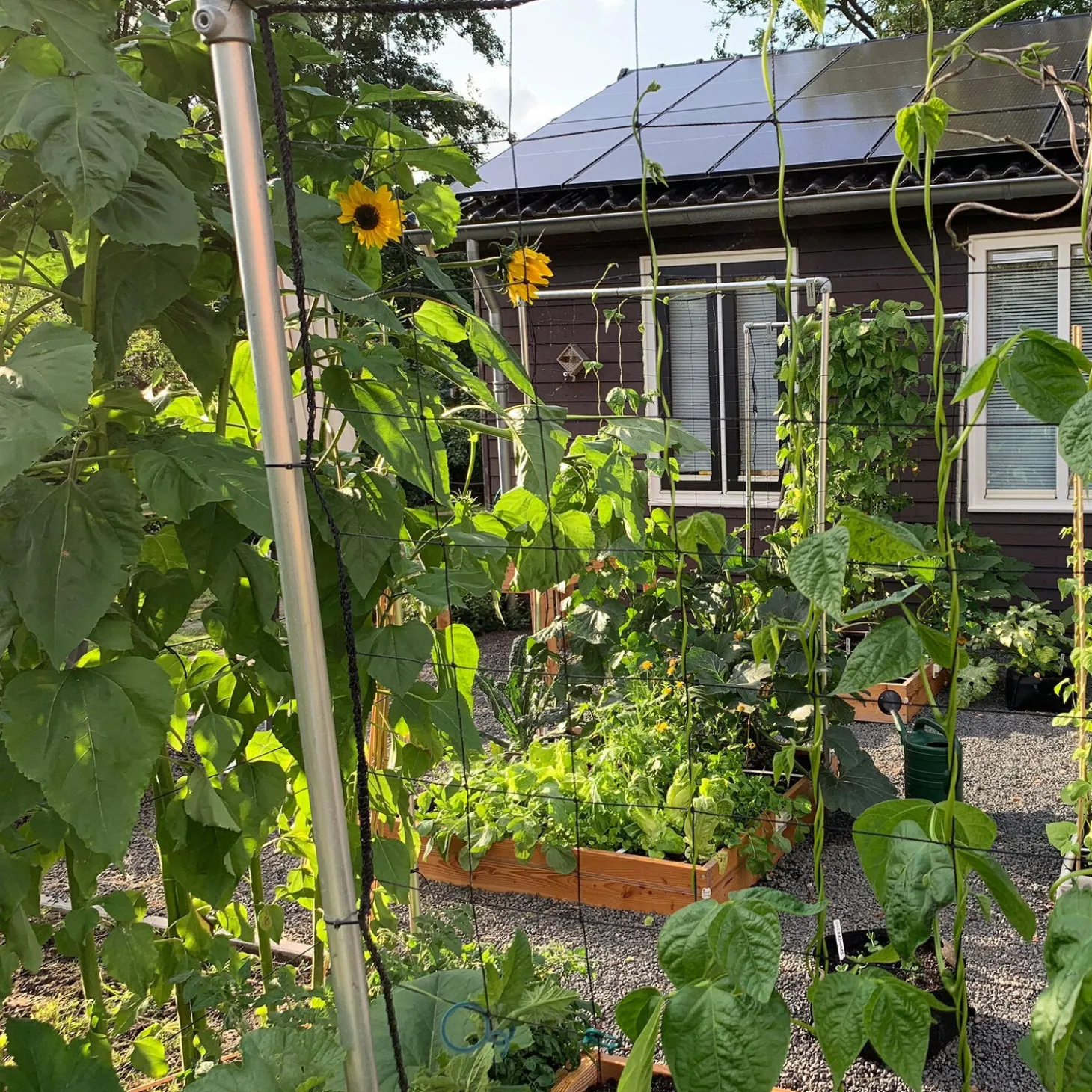 Makkelijke Moestuin voeding 1 kg