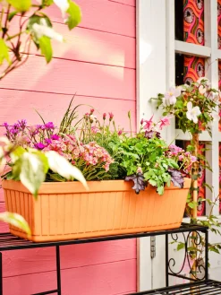 Mega Collections balkonbak Floreira terracotta 50 x 18 x 17 cm