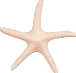Mica Decorations beeld Marina zeester roze 23 x 20,5 x 2,5 cm