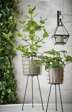 Mica Decorations bloempot Era groen D 7 H 7 cm
