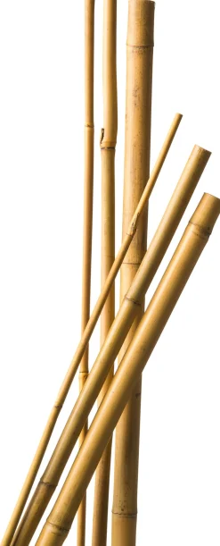 Nature bamboestok h300cm D20-22mm naturel 3 stuks