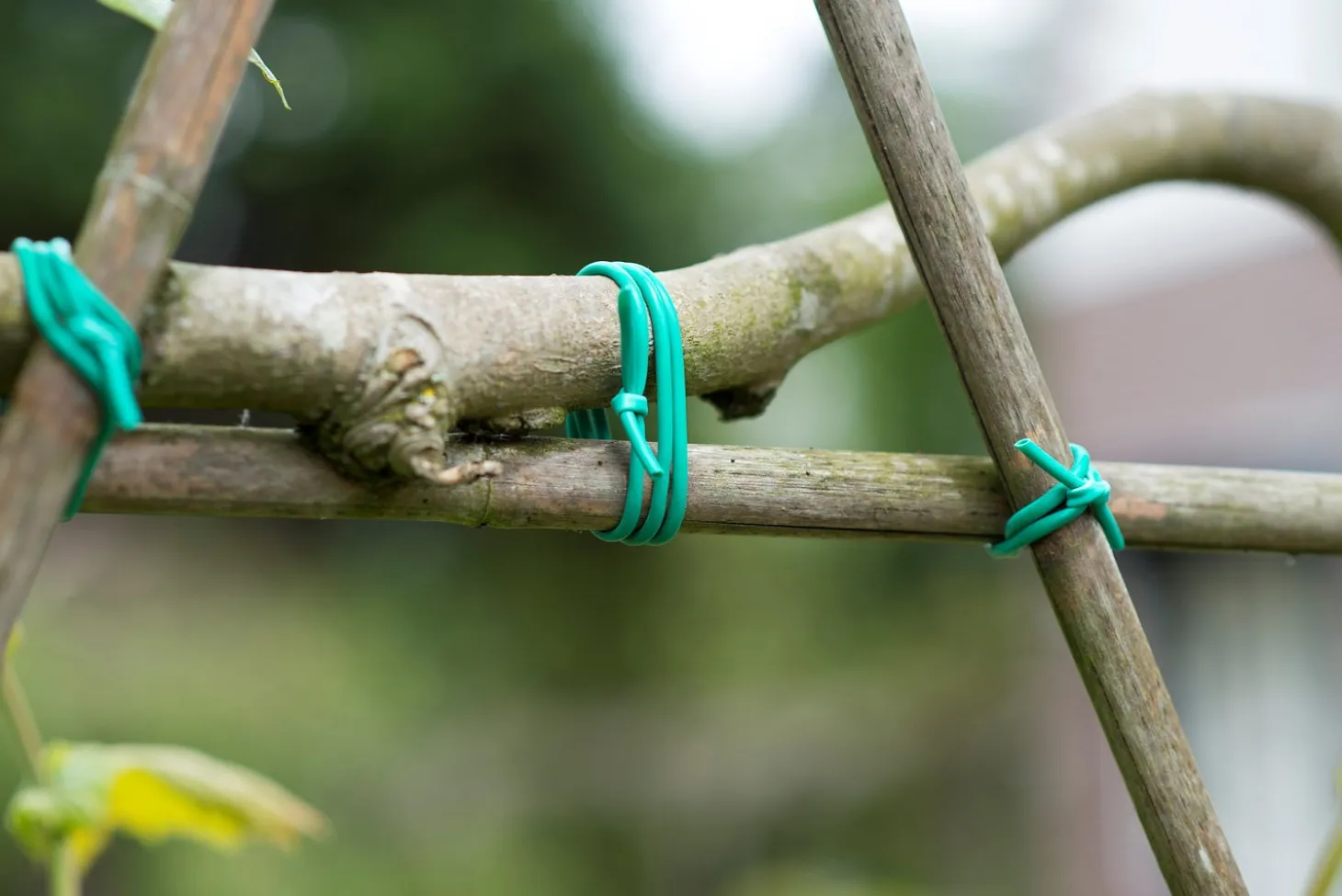 Nature bindbuis D3mm x 50m groen