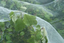 Nature insectengaas tegen fruitmot 5,20x5m