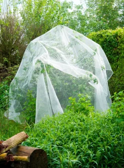 Nature insectengaas tegen fruitmot 5,20x5m