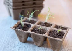 Nature kweekpottrays 5 x 5 x 5 cm 10 trays van 6 stuks