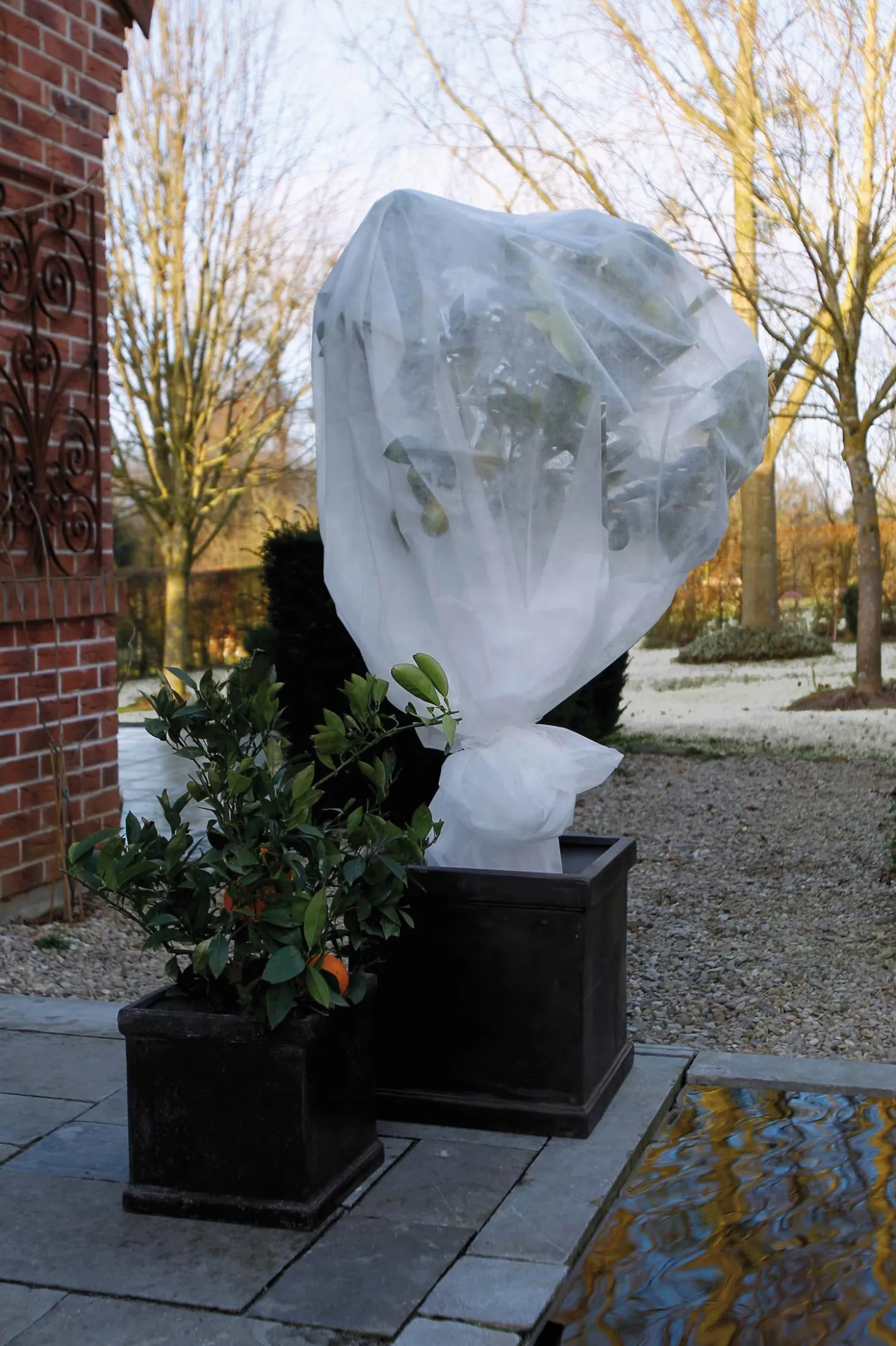 Nature wintervlies 2 x 5m 30 g/m² wit