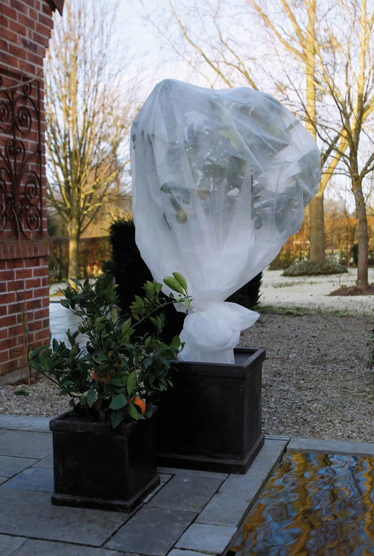 Nature wintervlies 2 x 10m 30 g/m² wit