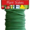 Peacock bindbuis groen 10 m