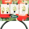 Peacock pot-anker groen D 8 H 5 cm