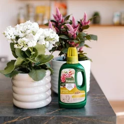Pokon bio bloeiende planten voeding 500 ml