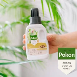 Pokon bio palm voeding 250 ml
