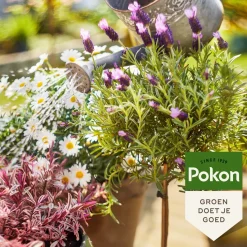 Pokon Bio Terras en Balkon Planten voeding 500 ml